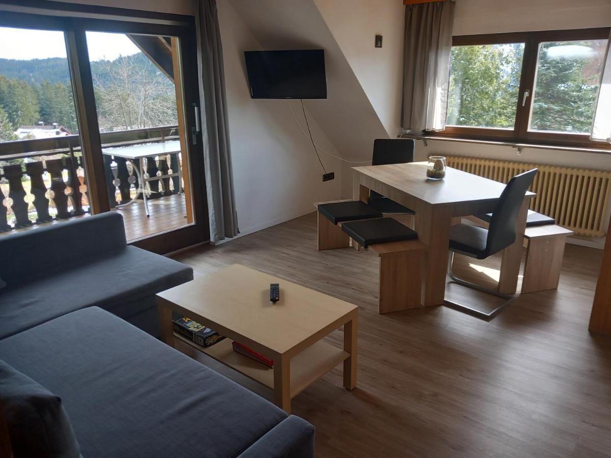 Apartament Haus Heidelberg Feldberg (Baden-Wurttemberg)