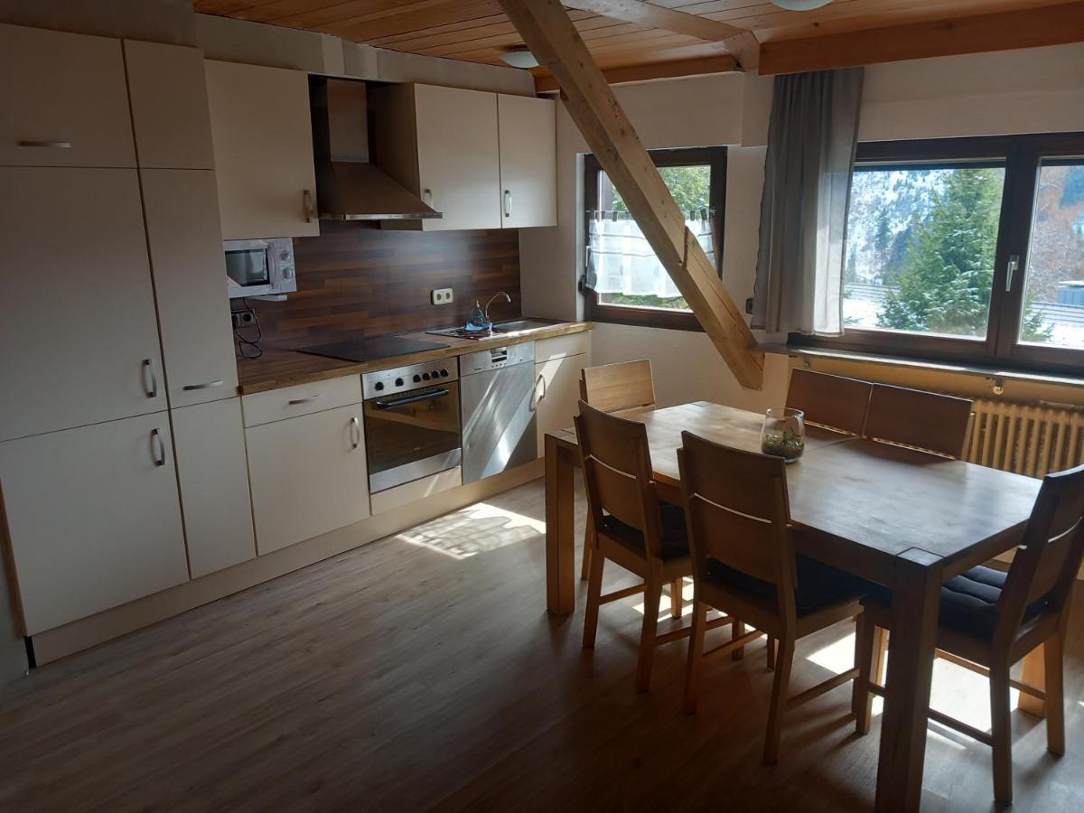 Haus Heidelberg Apartament Feldberg (Baden-Wurttemberg)